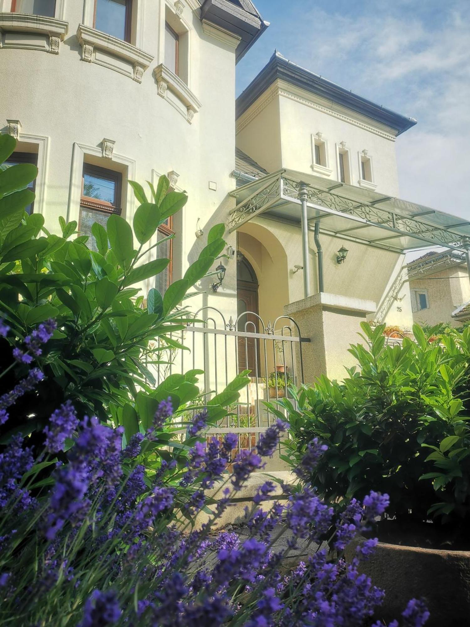 Kuria Apartman Budapest With Free Parking Buitenkant foto