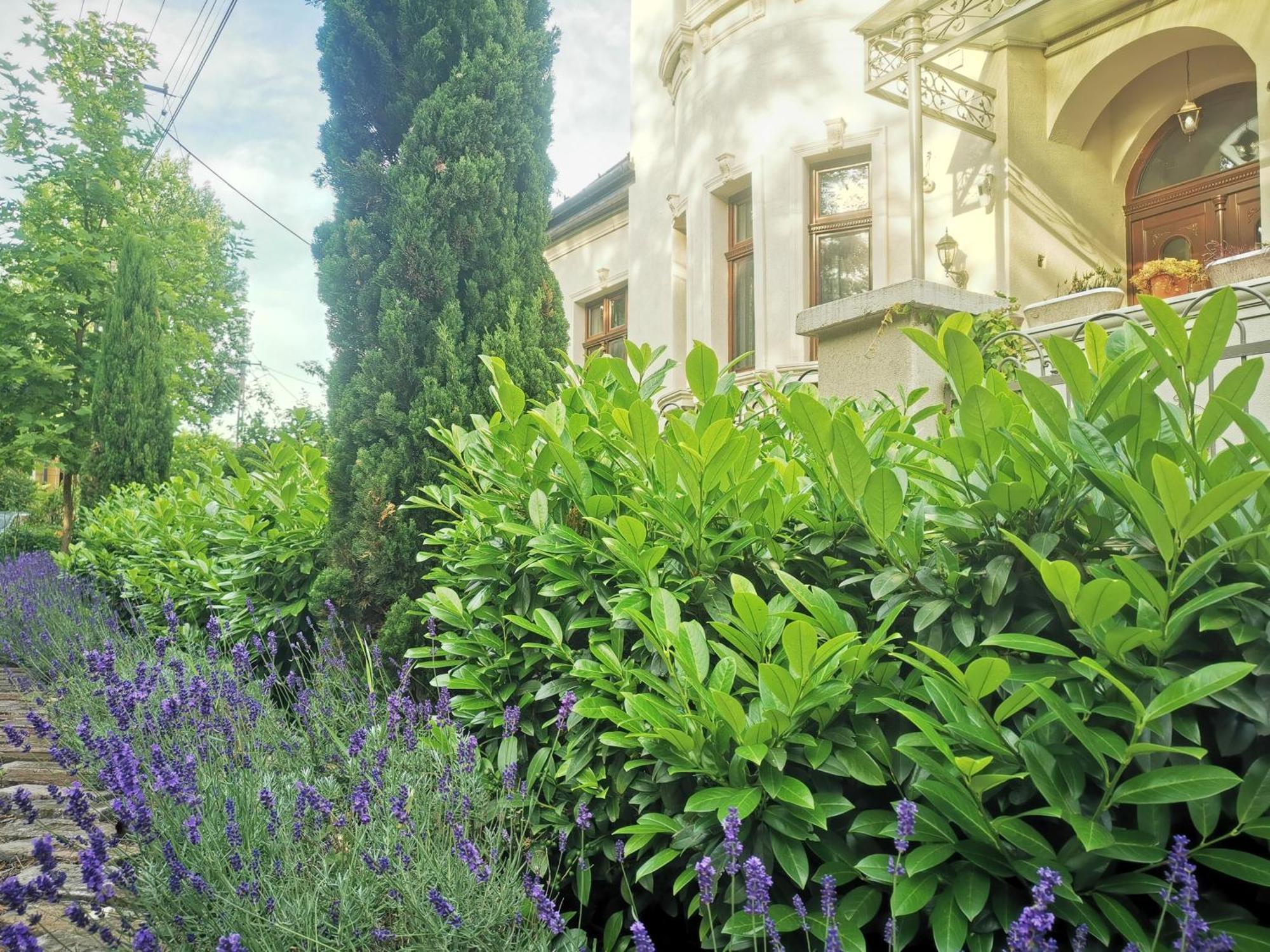 Kuria Apartman Budapest With Free Parking Buitenkant foto
